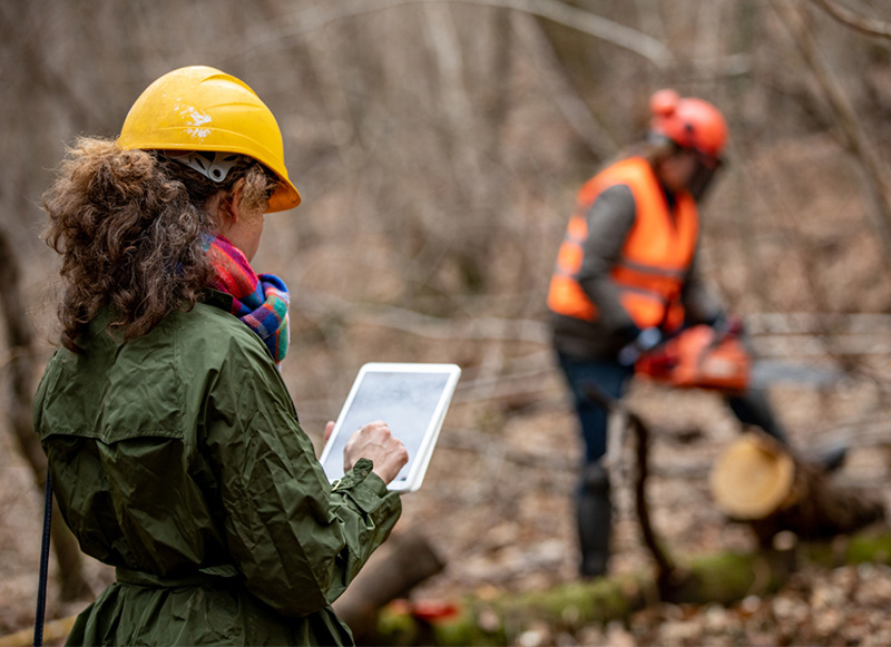 Addressing Systemic Gender, Diversity & Inclusion Issues in The Forest Sector